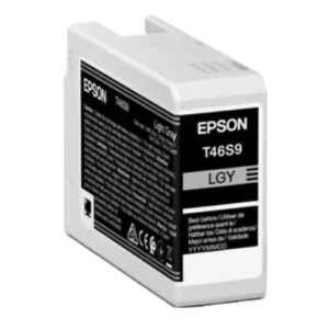 TN0T46S900 Epson Singlepack Light Gray UltraChrome Pro10 Ink