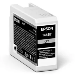 TN0T46S700 Epson Singlepack Gray UltraChrome Pro10 Ink